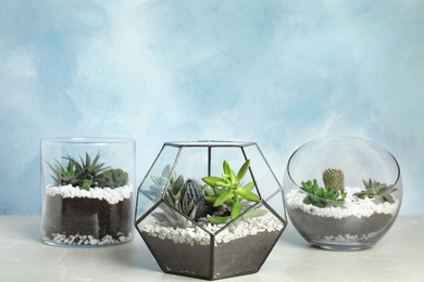 Glass florariums with different succulents on table against color background, space for text