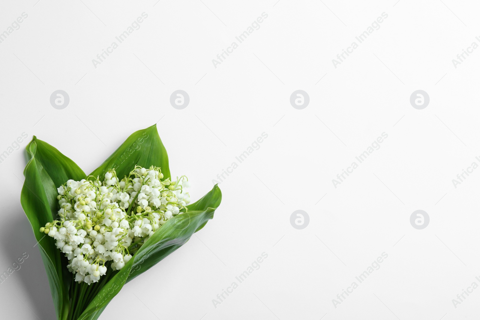 Photo of Beautiful lily of the valley bouquet on white background, view from above. Space for text