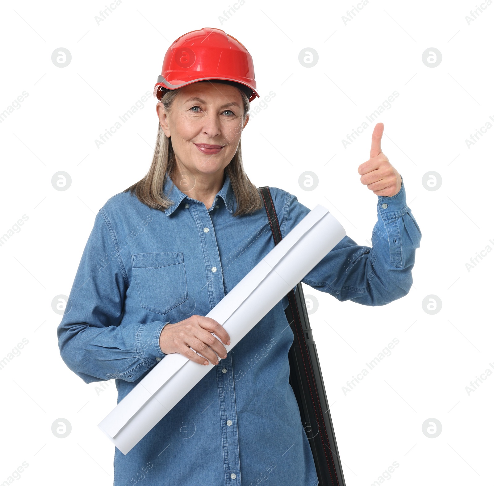 Photo of Architect in hard hat with draft and tube showing thumbs up on white background