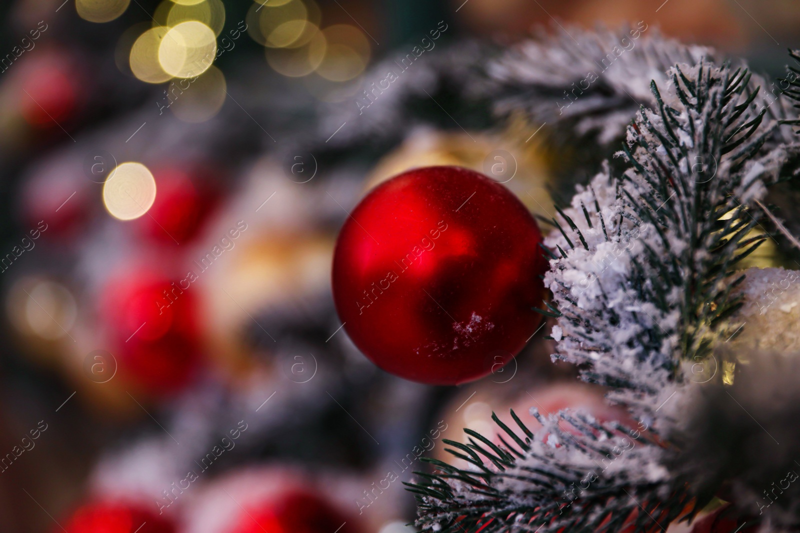 Photo of Beautiful red Christmas ball and fir branches on blurred background, closeup