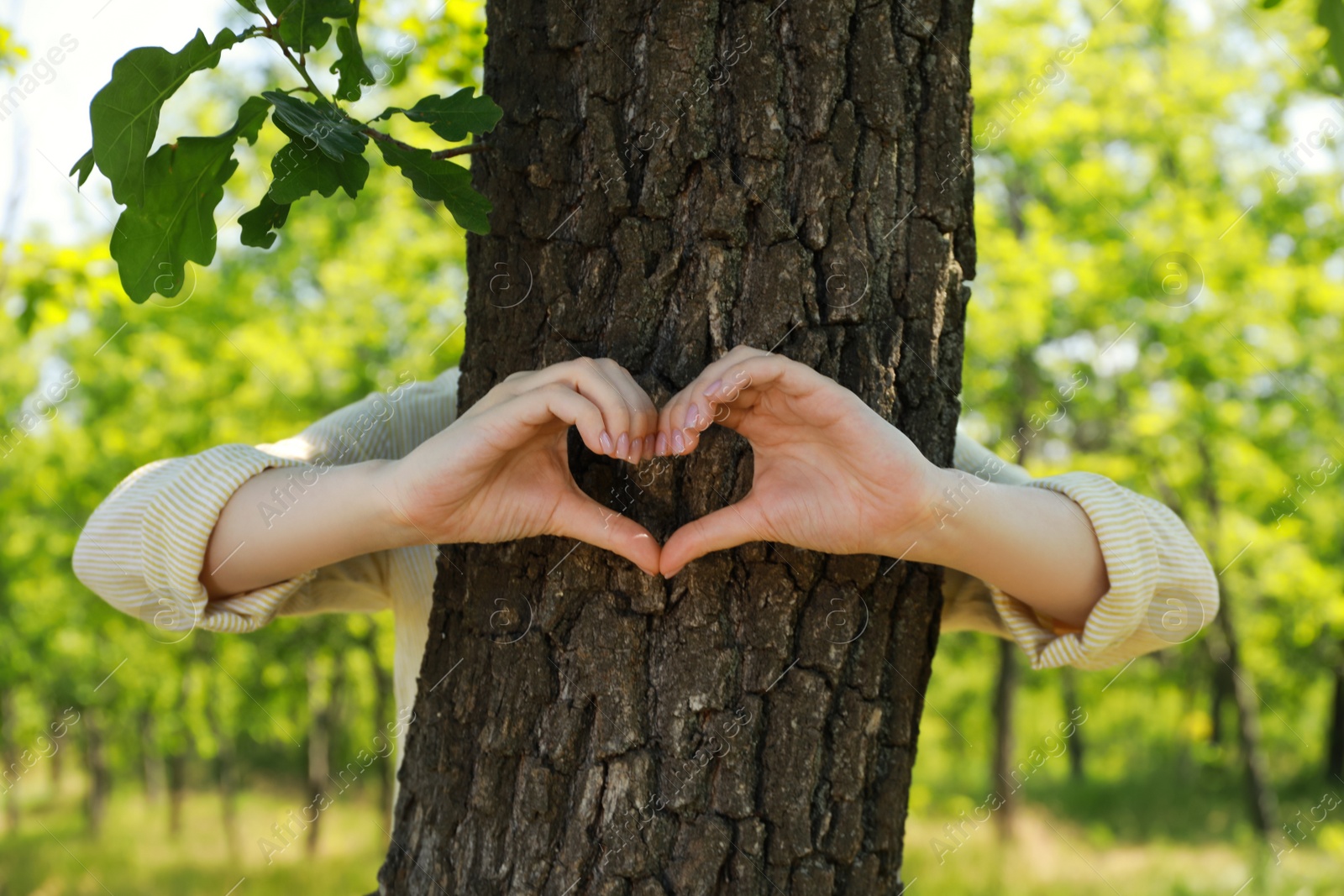 Photo of Woman hugging tree trunk and forming heart with hands in forest