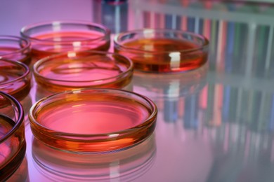 Photo of Petri dishes with red liquid on table, closeup