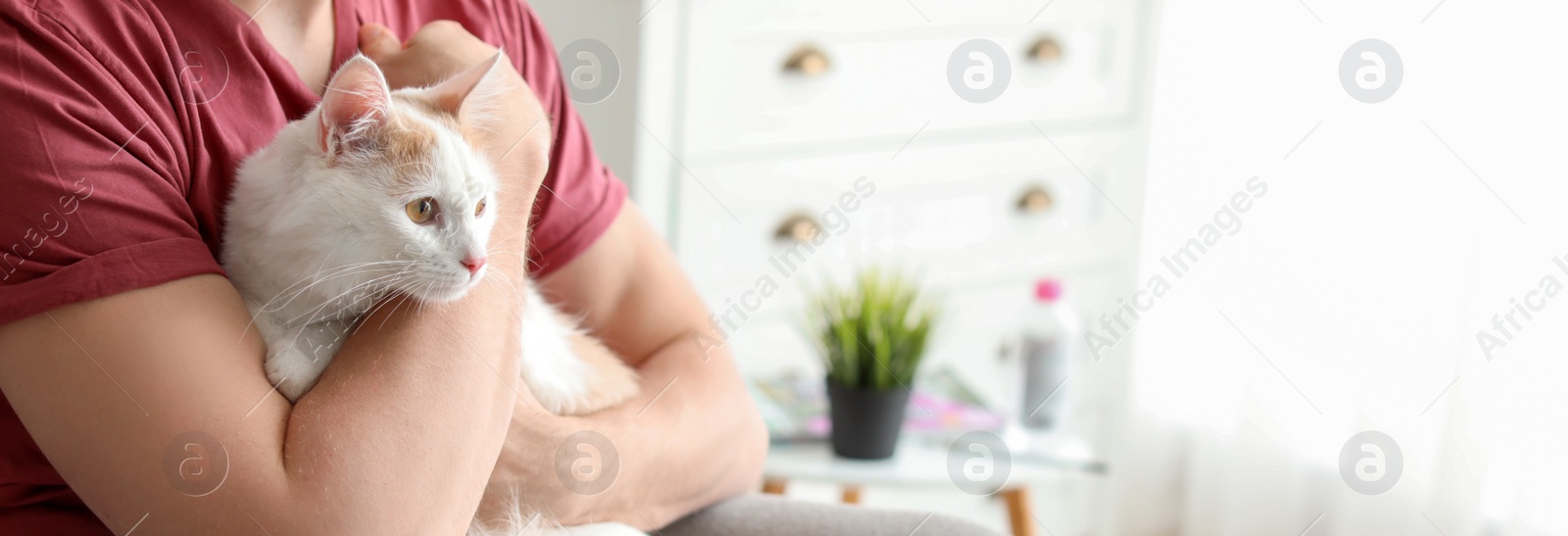 Image of Young man with cute cat at home, space for text. Banner design