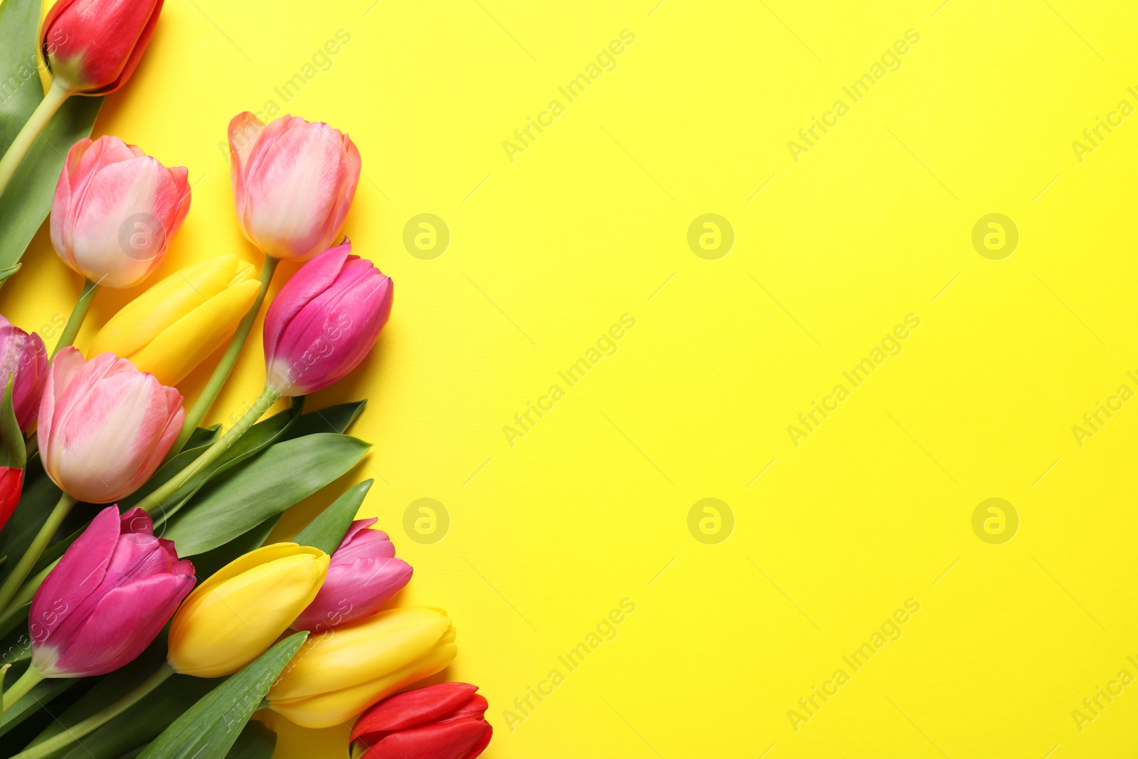 Photo of Beautiful colorful tulip flowers on yellow background, flat lay. Space for text