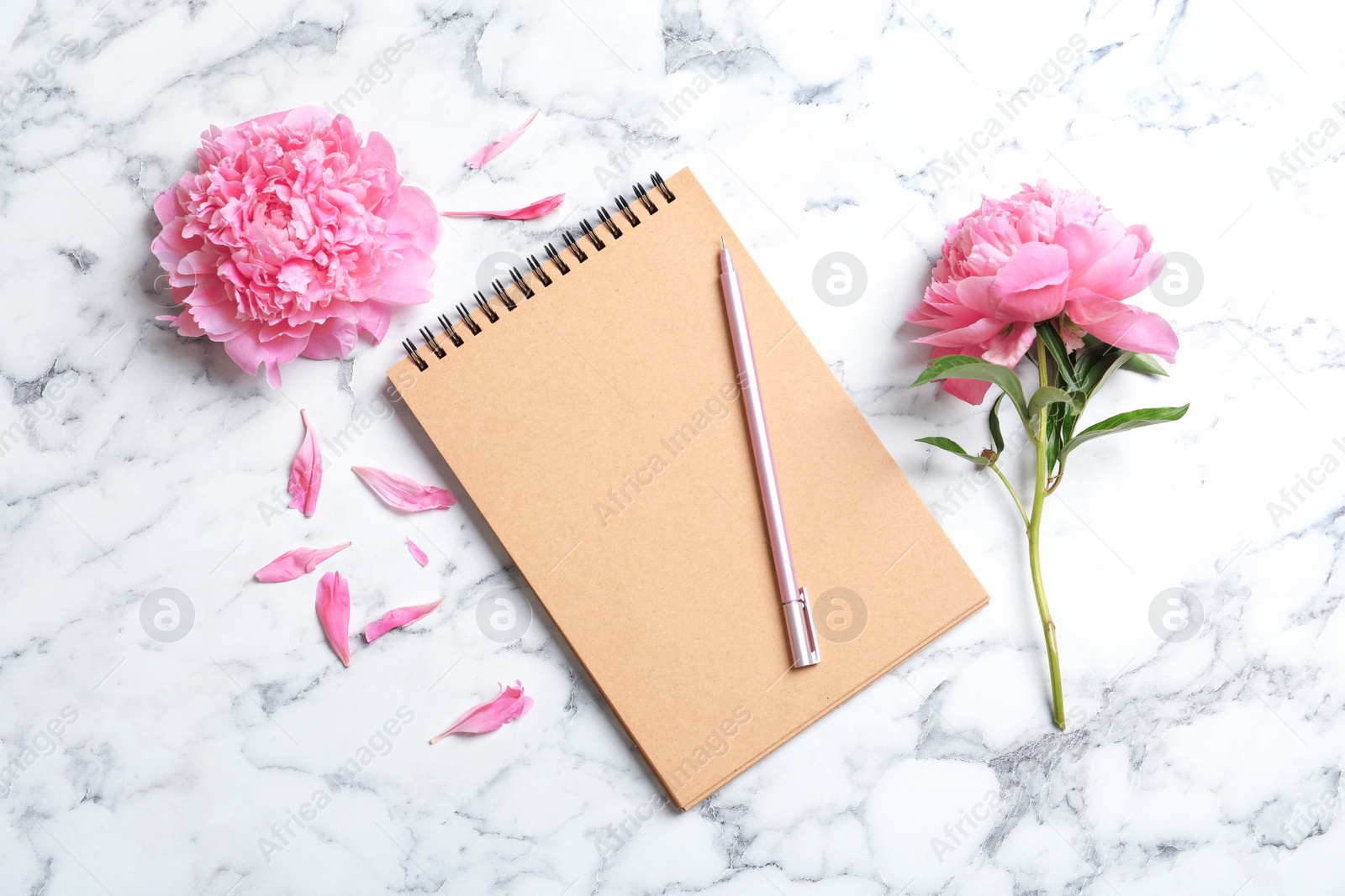 Photo of Beautiful peony flowers and notebook on marble background, top view