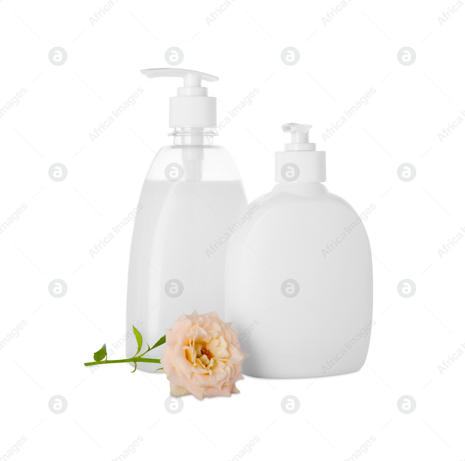 Photo of Dispensers of liquid soap and rose on white background