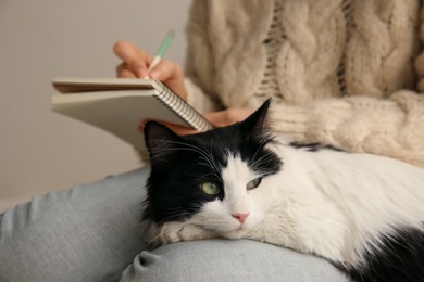 Photo of Owner with her adorable cat, closeup. Woman taking notes