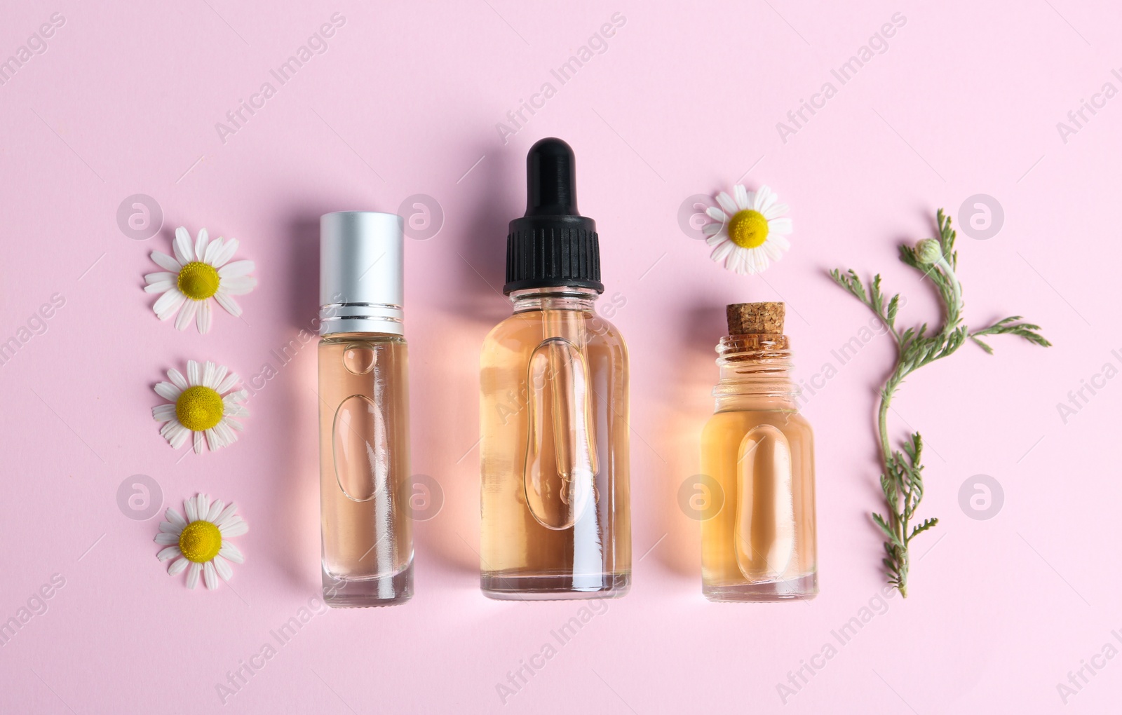 Photo of Flat lay composition with chamomile essential oil on pink background