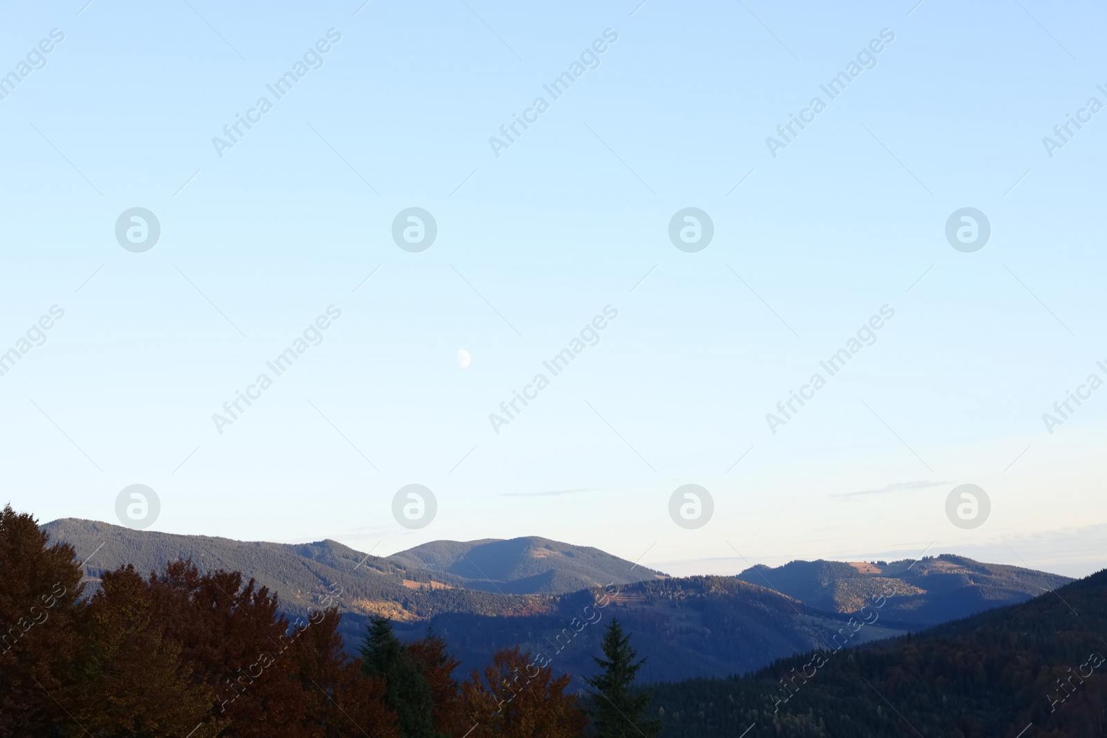 Photo of Aerial view of beautiful mountain landscape with forest