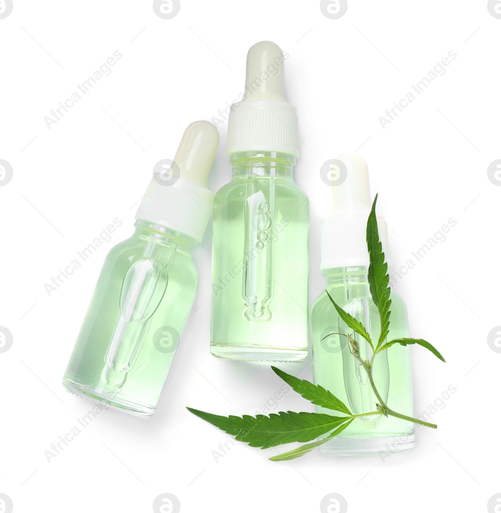 Photo of Bottles of hemp cosmetics with green leaves isolated on white, top view