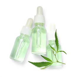 Photo of Bottles of hemp cosmetics with green leaves isolated on white, top view