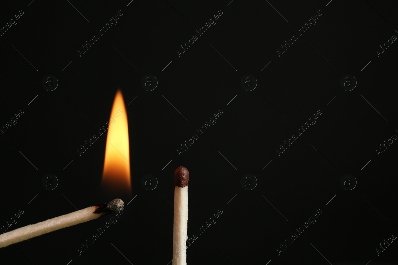 Photo of Lit and whole matches on black background, closeup. Space for text