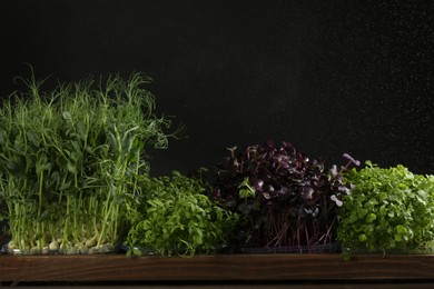 Photo of Different fresh microgreens in wooden crate on dark background
