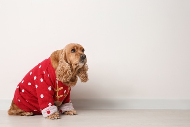 Photo of Adorable Cocker Spaniel in Christmas sweater near white wall, space for text