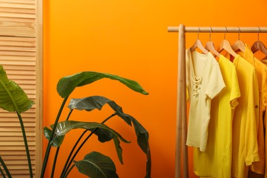 Rack with different stylish women's clothes and green houseplant near orange wall