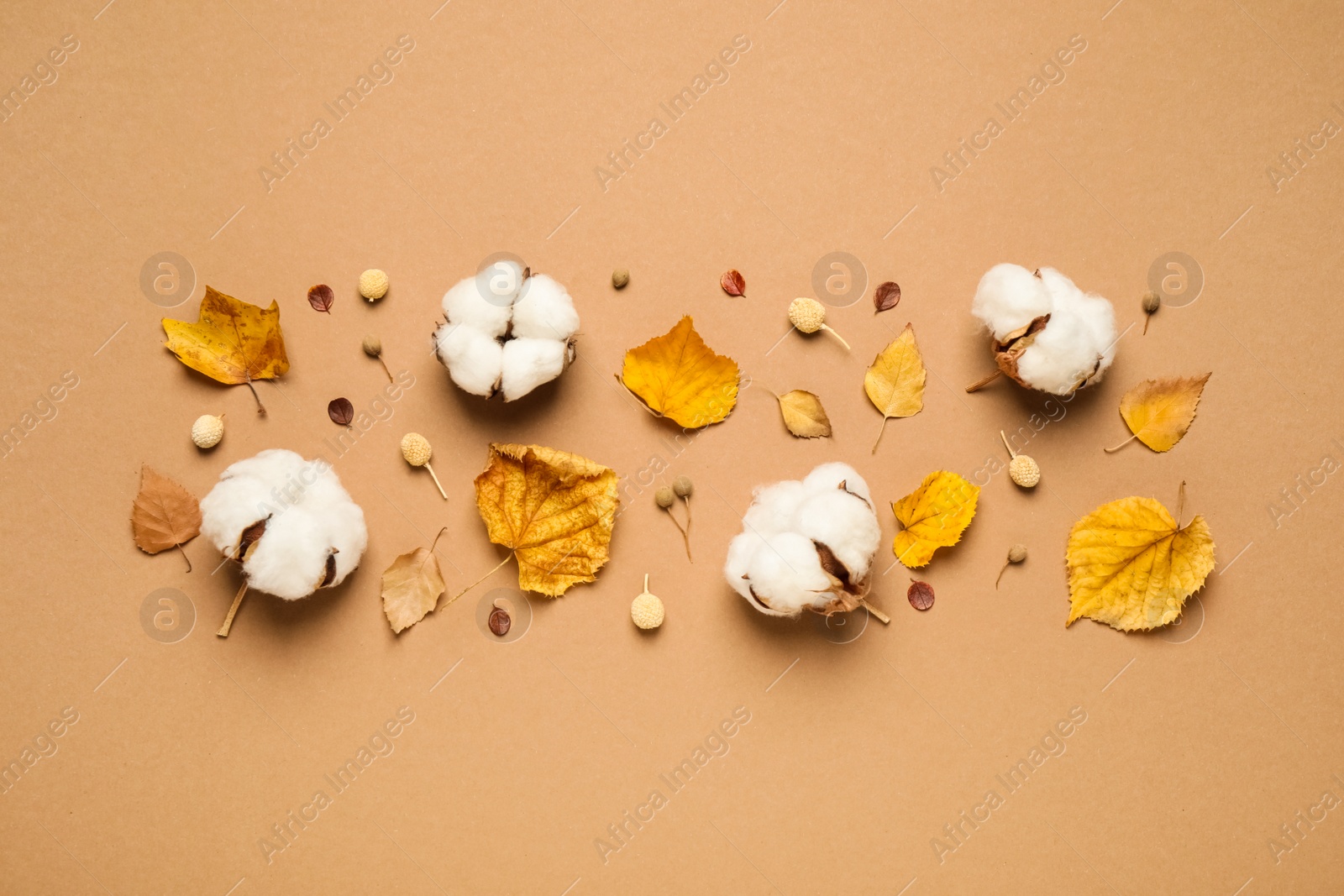 Photo of Flat lay composition with autumn leaves on beige background