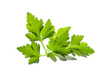 Fresh green organic parsley isolated on white