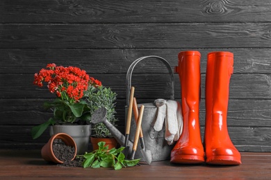Plants, rubber boots and gardening tools on wooden table