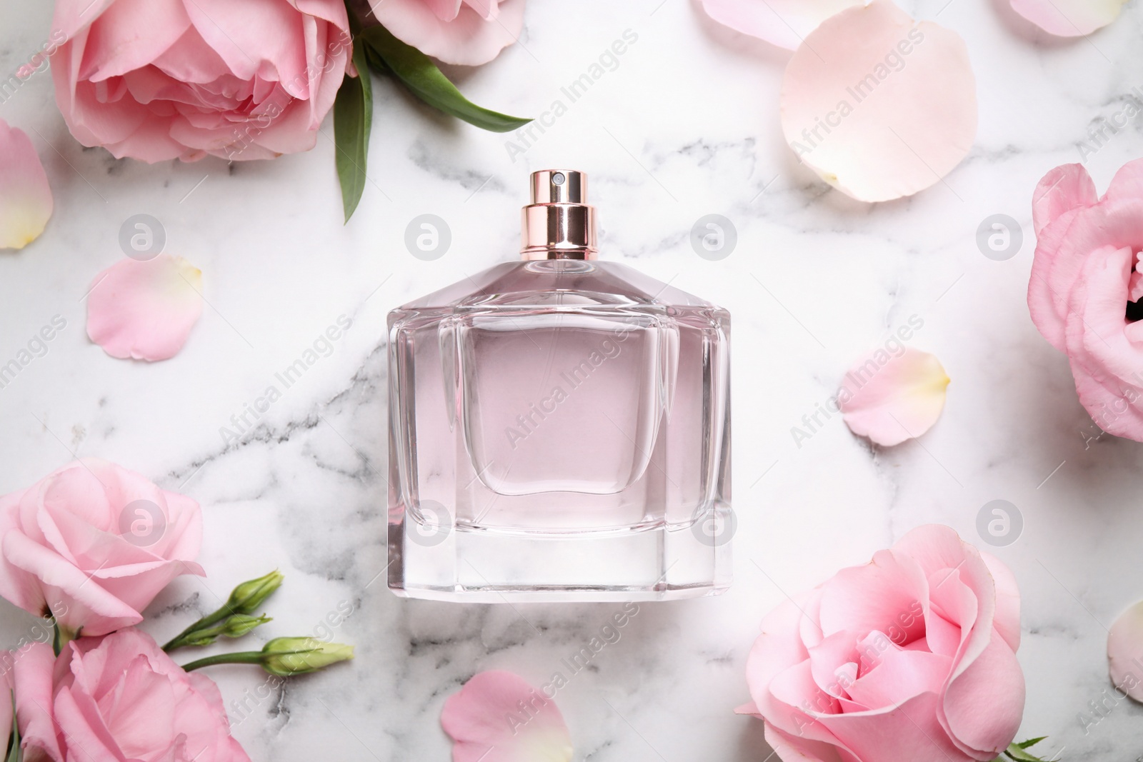 Photo of Bottle of perfume, beautiful flowers and petals on white marble table, flat lay