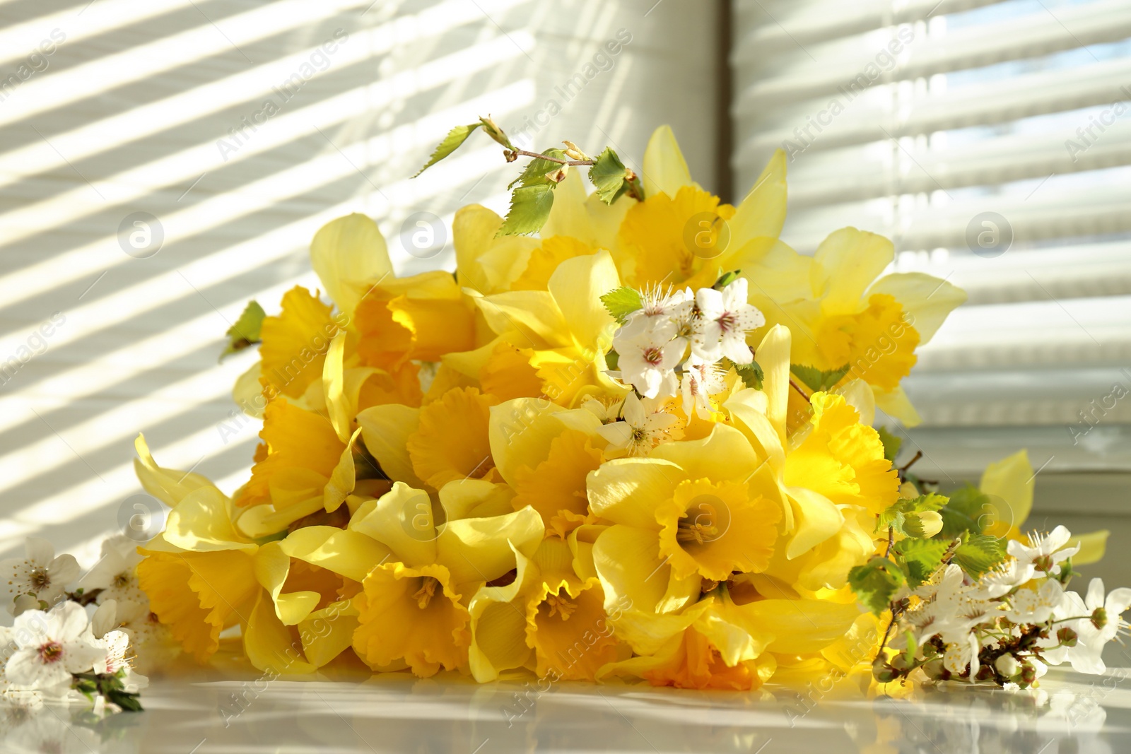 Photo of Yellow daffodils and beautiful white flowers of plum tree on windowsill