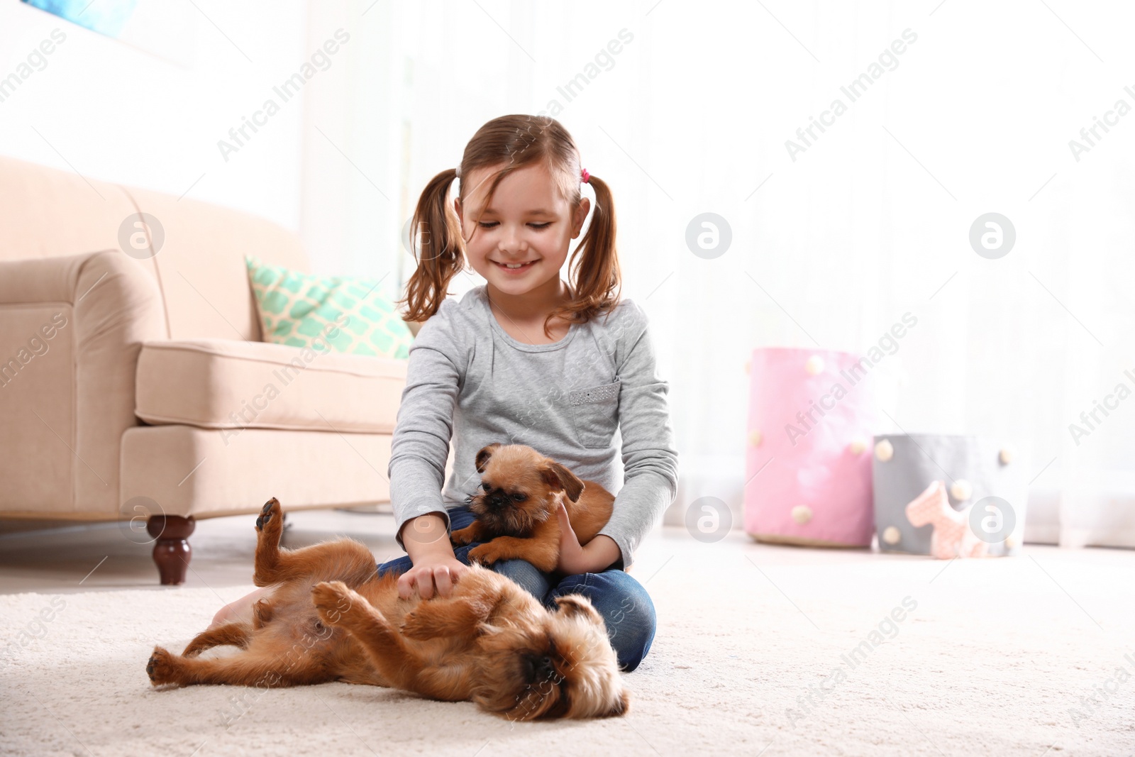 Photo of Portrait of cute girl with funny Brussels Griffon dogs at home, space for text. Loyal friends