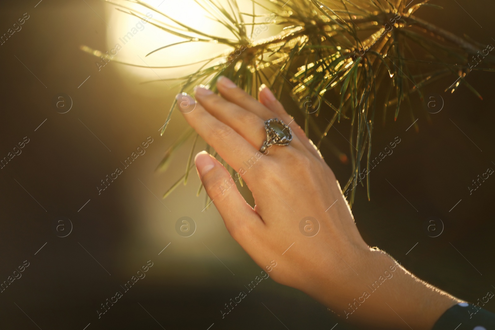 Photo of Young woman wearing beautiful silver ring with prehnite gemstone near pine, closeup