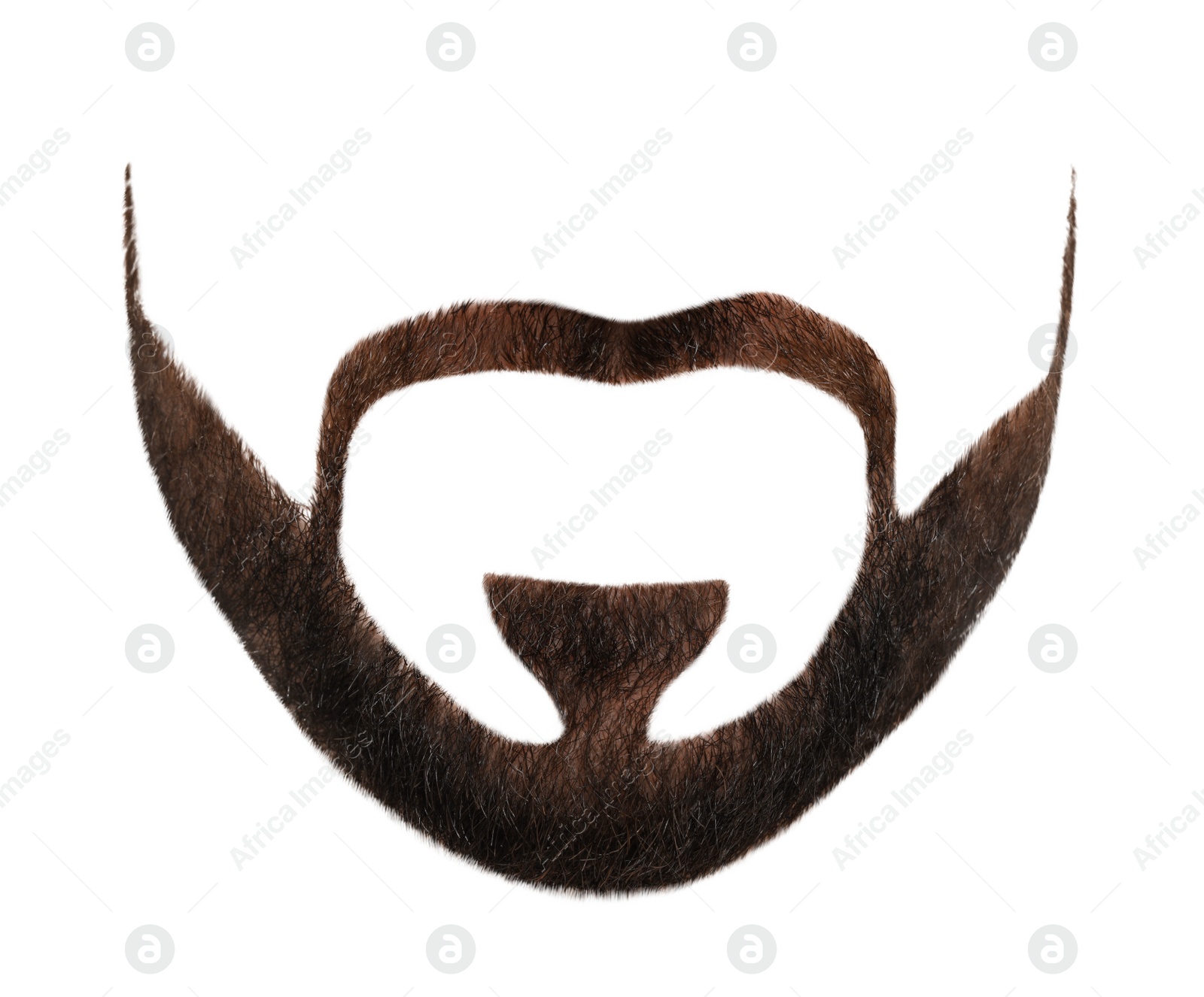 Image of Stylish beard on white background. Men's fashion