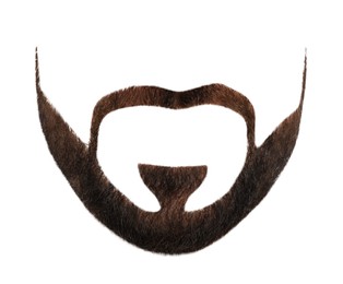 Image of Stylish beard on white background. Men's fashion