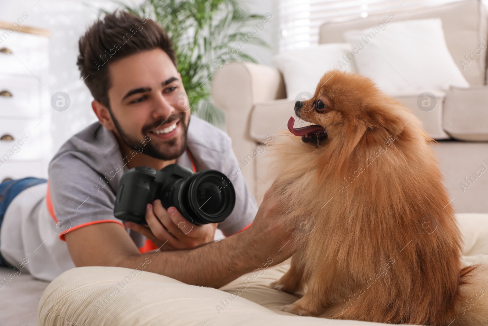 Photo of Professional animal photographer taking picture of beautiful Pomeranian spitz dog at home