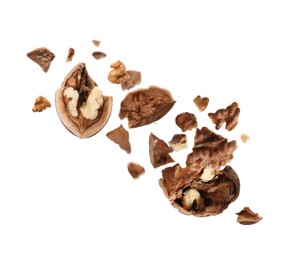 Image of Broken walnut and pieces of shell flying on white background