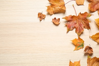 Photo of Flat lay composition with autumn leaves on wooden background. Space for text
