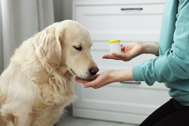 Photo of Woman giving pills to cute dog at home, closeup. Vitamins for animal