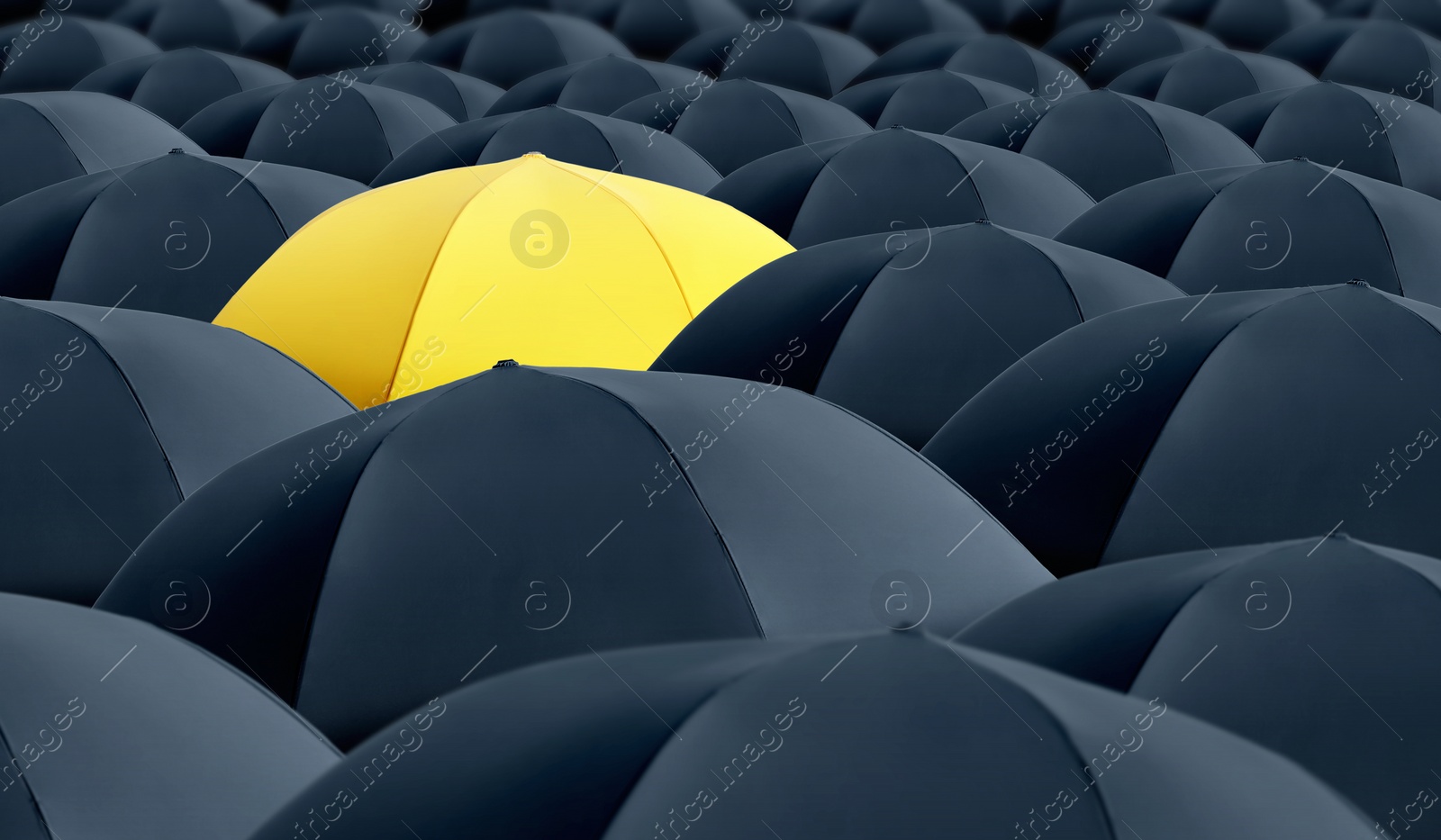 Image of Yellow umbrella standing out of other ones 