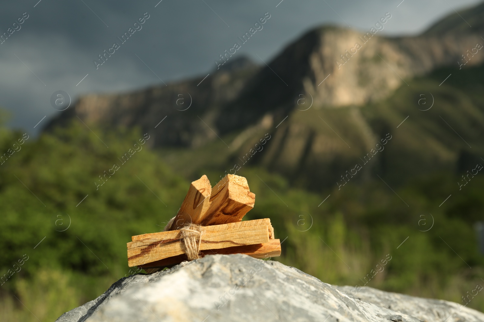 Photo of Many palo santo sticks on stone surface in high mountains