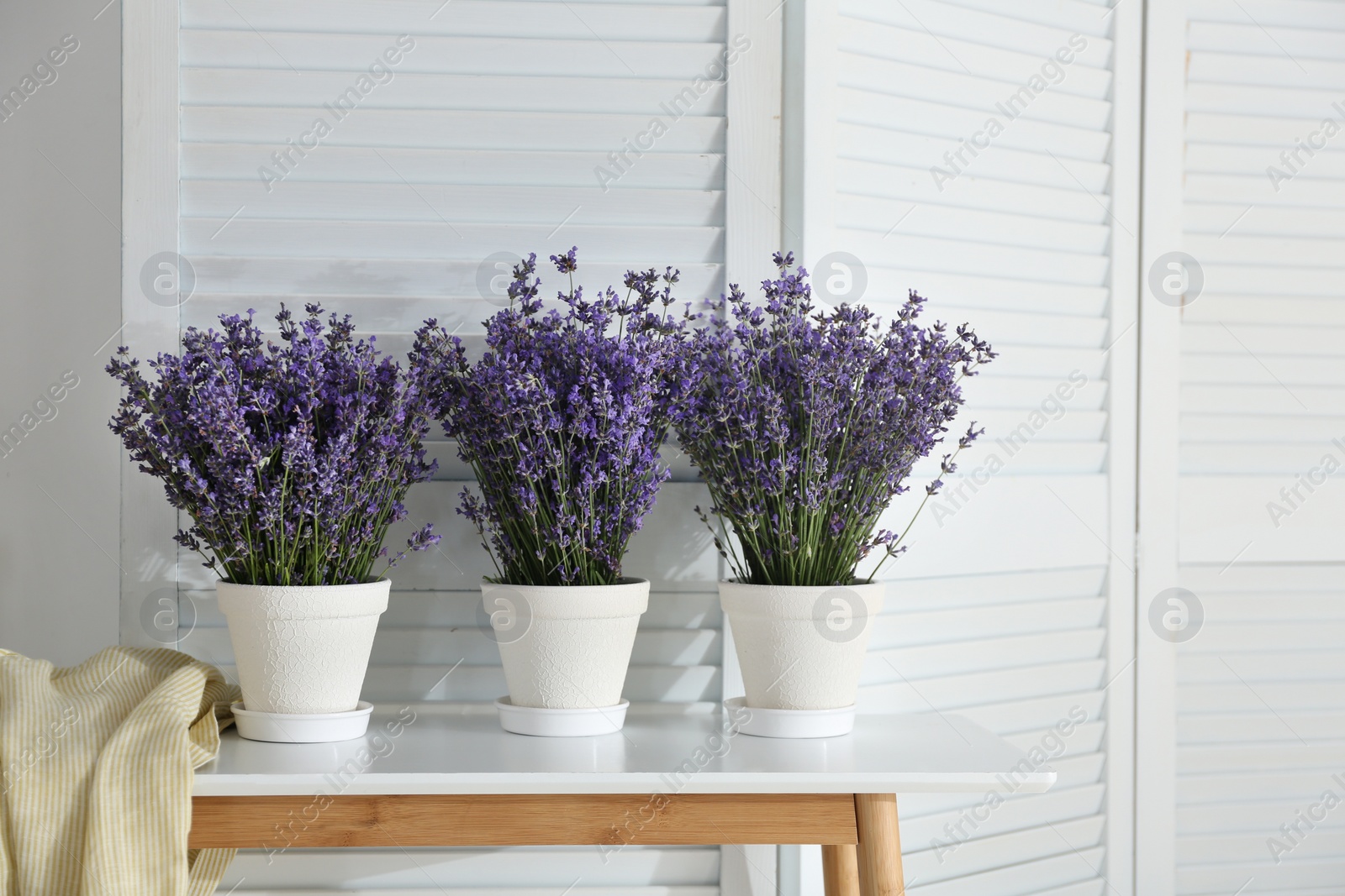 Photo of Beautiful lavender flowers and yellow shirt on white table indoors