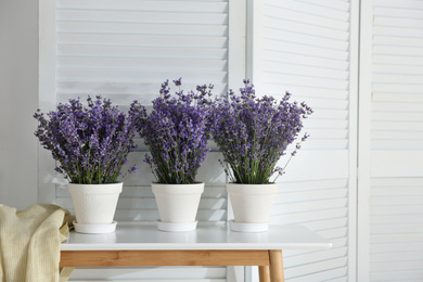 Beautiful lavender flowers and yellow shirt on white table indoors