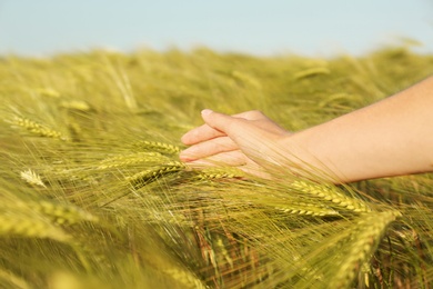 Photo of Woman in wheat field on sunny summer day, closeup on hand. Amazing nature