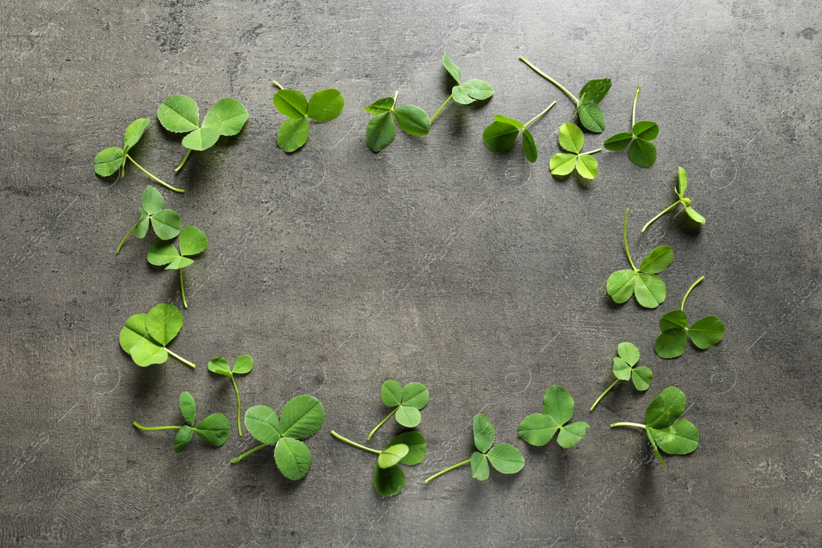 Photo of Green clover leaves on gray background, flat lay composition with space for text