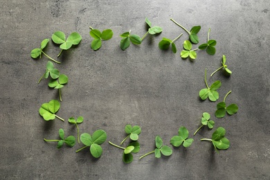 Green clover leaves on gray background, flat lay composition with space for text