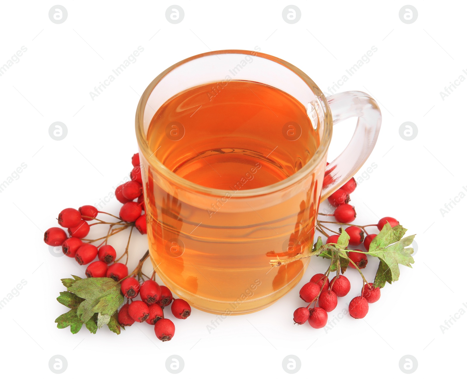 Photo of Cup with hawthorn tea and berries isolated on white
