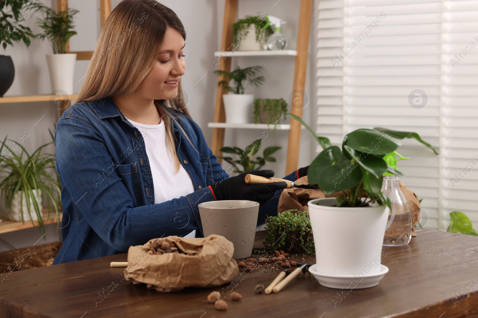 Photo of Woman transplanting houseplant at wooden table indoors