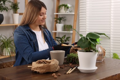 Woman transplanting houseplant at wooden table indoors