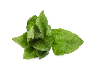 Bundle of fresh spinach isolated on white