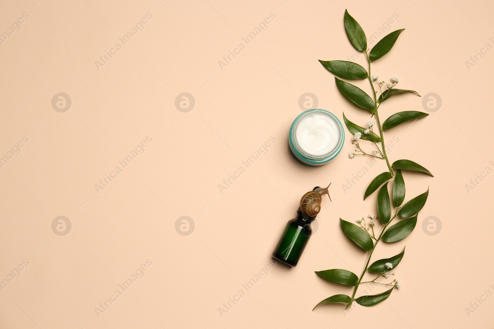 Photo of Flat lay composition of organic cosmetics made with snail mucin on beige background. Space for text