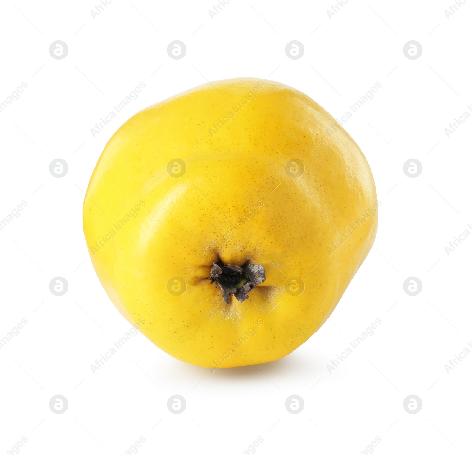 Photo of Delicious fresh ripe quince isolated on white