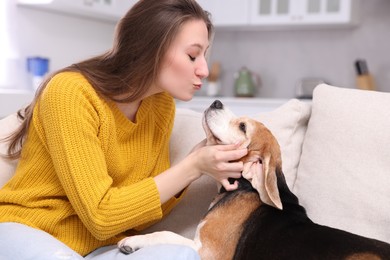 Photo of Beautiful young woman with her cute Beagle dog on couch at home. Lovely pet