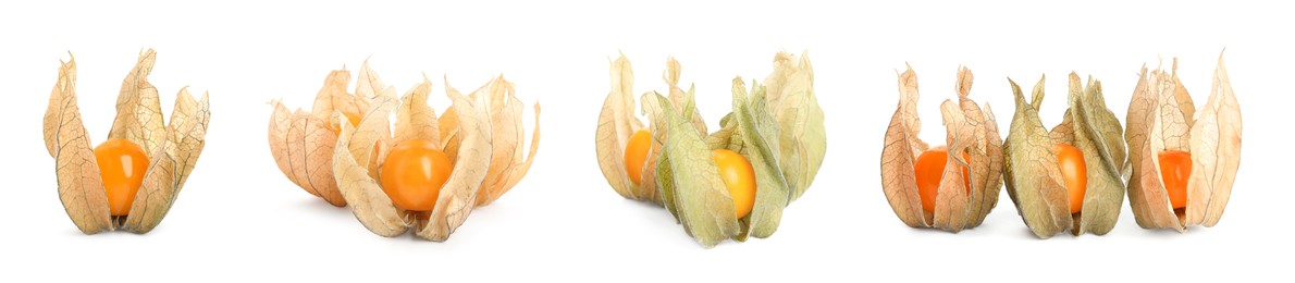 Set with tasty ripe physalis fruits on white background. Banner design