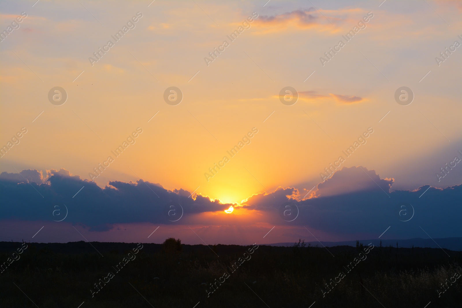 Photo of Picturesque view of beautiful field at sunset