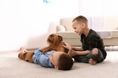 Portrait of cute boys with funny Brussels Griffon dog at home, space for text. Loyal friends