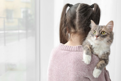 Cute little girl with cat near window at home